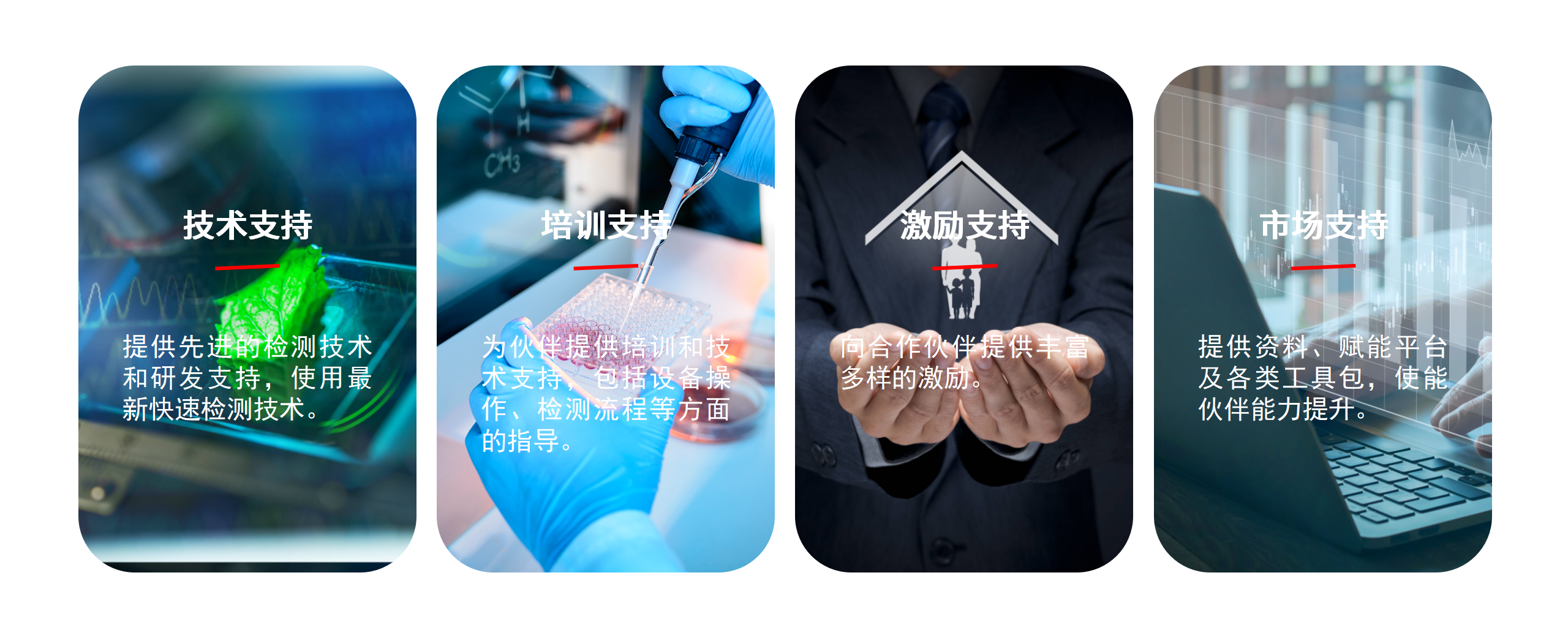 相助同伴_01.png